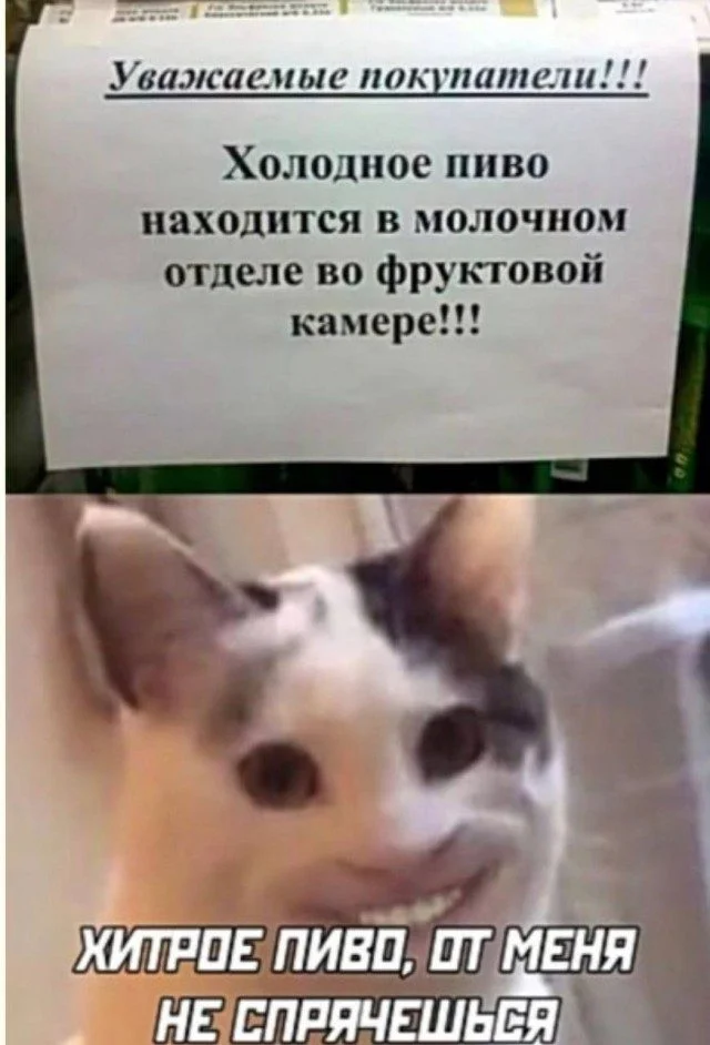 Слон в посудной лавке и ты: как мы вписываемся в острые углы жизни