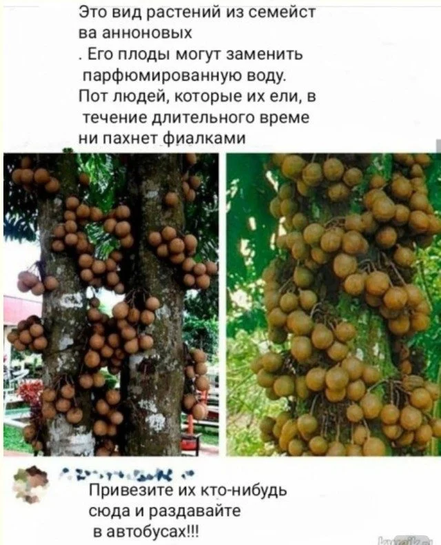 Слон в посудной лавке и ты: как мы вписываемся в острые углы жизни приколы, неловкость, грация, слон, посудная лавка, юмор