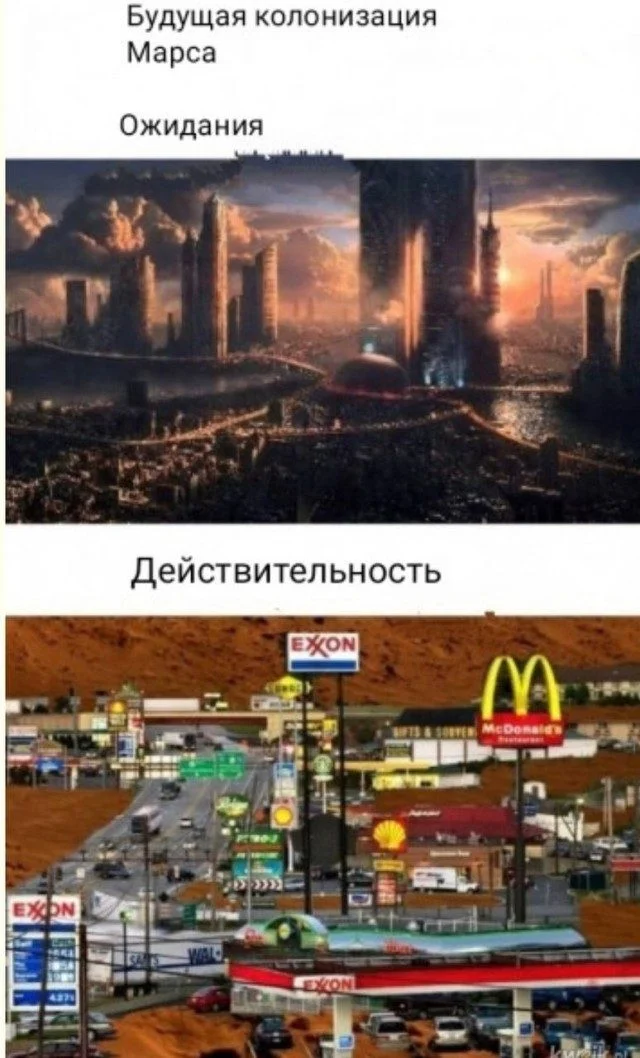 Слон в посудной лавке и ты: как мы вписываемся в острые углы жизни приколы, неловкость, грация, слон, посудная лавка, юмор