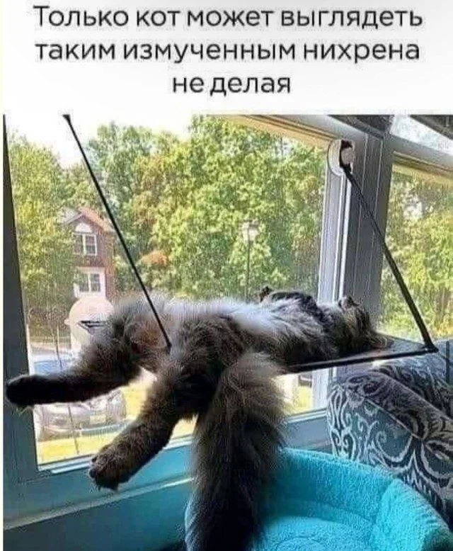 Шёпот интернета: мемы, которые бьют без промаха мемы, приколы, картинки, юмор, подборка, смешное, интернет