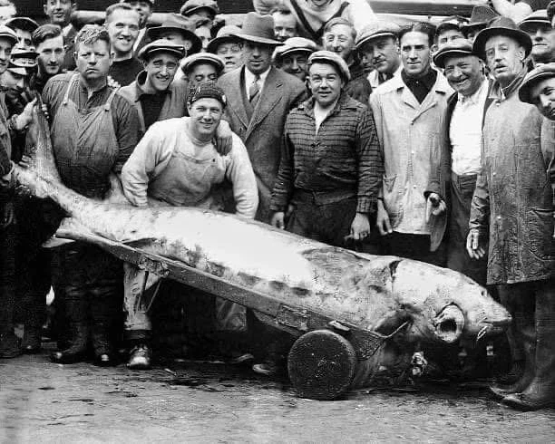 Кадры, которые застыли во времени: новая порция исторических фото история, фотографии, ретро, СССР, знаменитости, факты, подборка