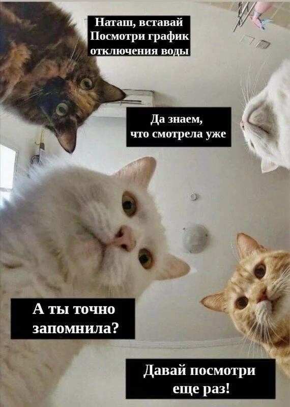 Вот это поворот: мемы про отключение горячей воды, которые спасут ваш день отключение воды, мемы, приколы, горячая вода, график отключения, 2026, коммунальщики, тазик, юмор