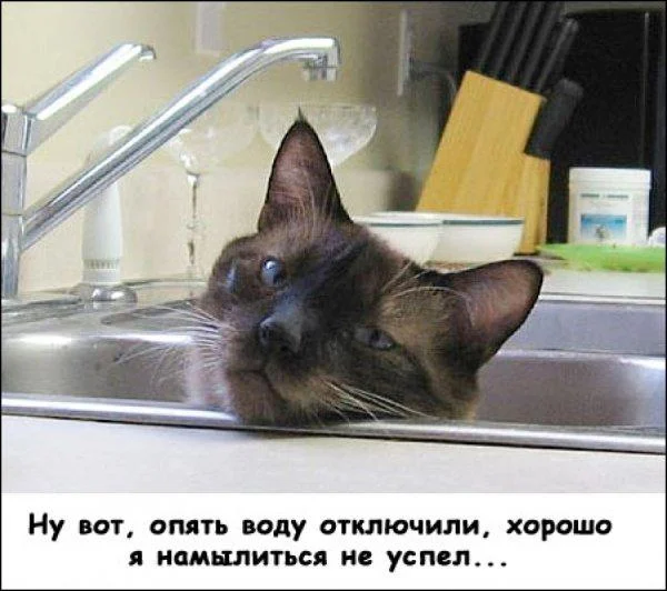 Вот это поворот: мемы про отключение горячей воды, которые спасут ваш день отключение воды, мемы, приколы, горячая вода, график отключения, 2026, коммунальщики, тазик, юмор