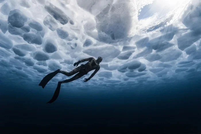 Лучшие подводные фото 2025: итоги Ocean Art Awards подводная съемка, Ocean Art, конкурс, фотография, дайвинг, океан, макро, природа
