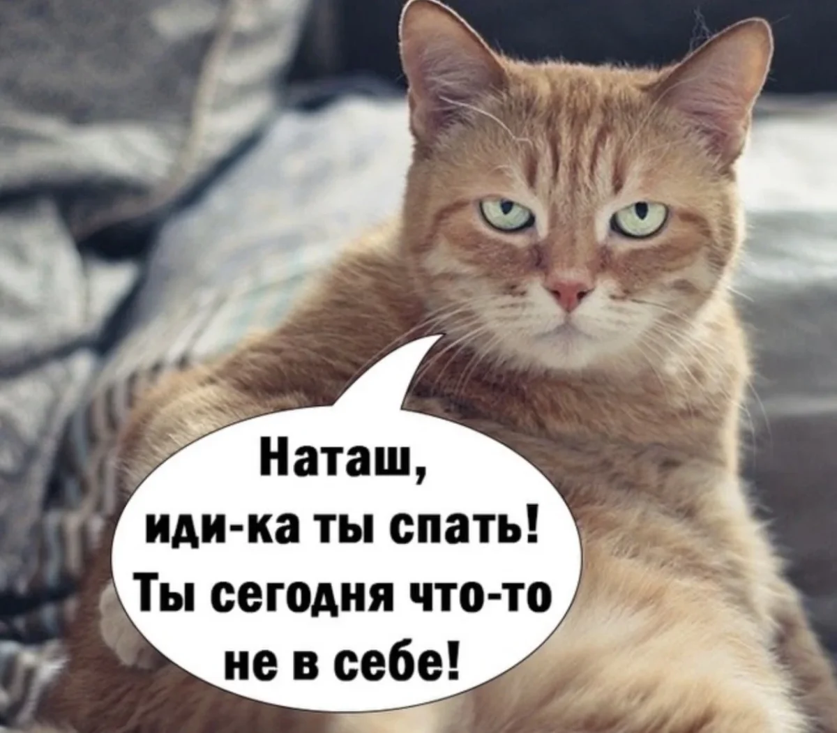Юмор за день: убойная подборка на 80 процентов юмор, приколы, мемы, картинки, смешное, подборка, шутки, день