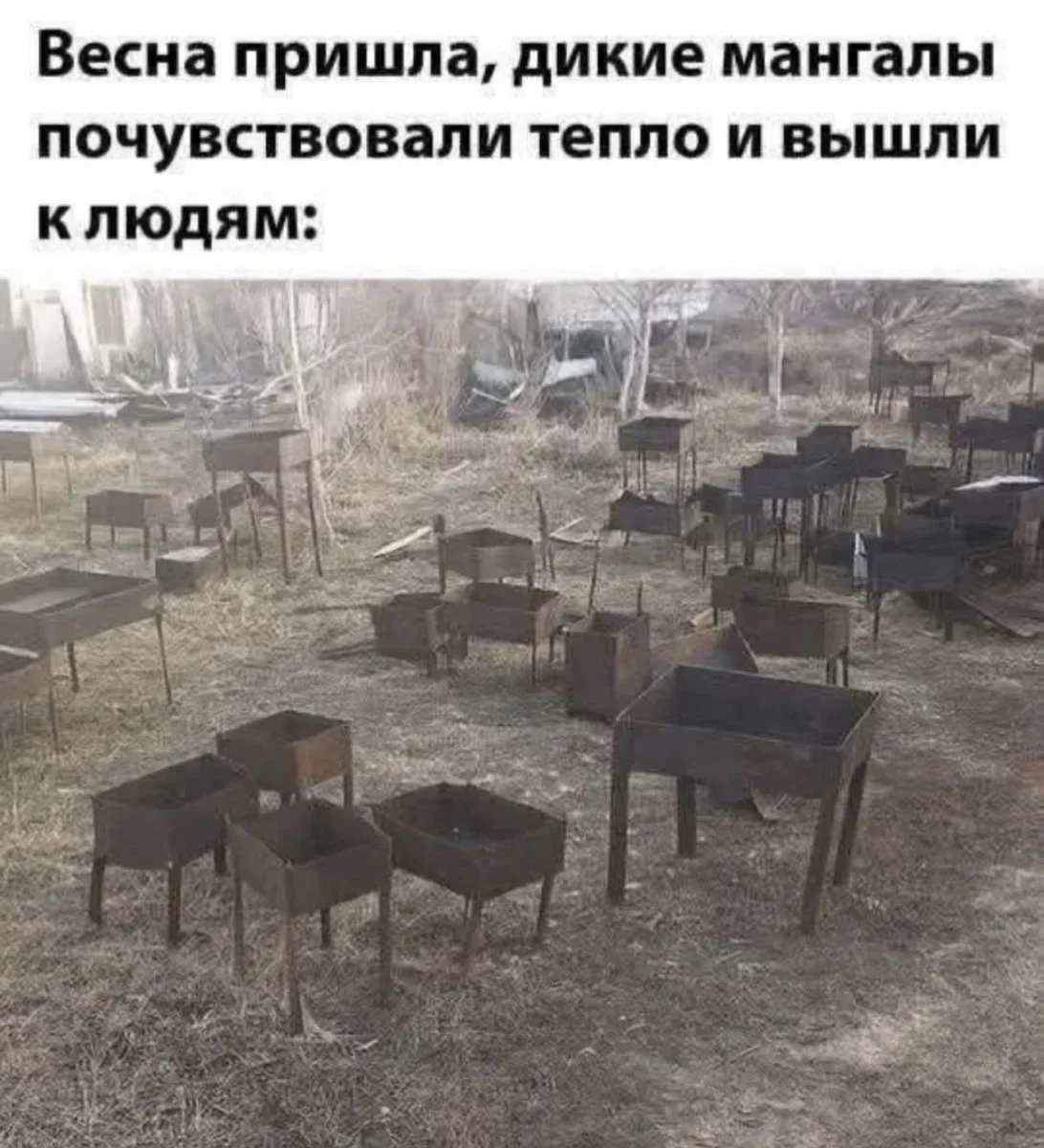 Юмор за день: убойная подборка на 80 процентов юмор, приколы, мемы, картинки, смешное, подборка, шутки, день