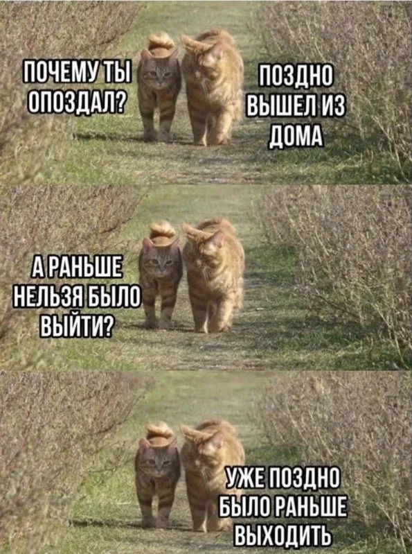 Ржачная подборка свежих мемов для отличных выходных смешные картинки, мемы 2026, юмор для настроения, приколы про жизнь