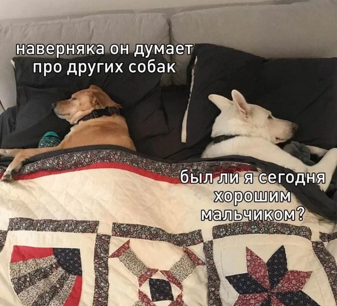Ржачная подборка свежих мемов для отличных выходных смешные картинки, мемы 2026, юмор для настроения, приколы про жизнь