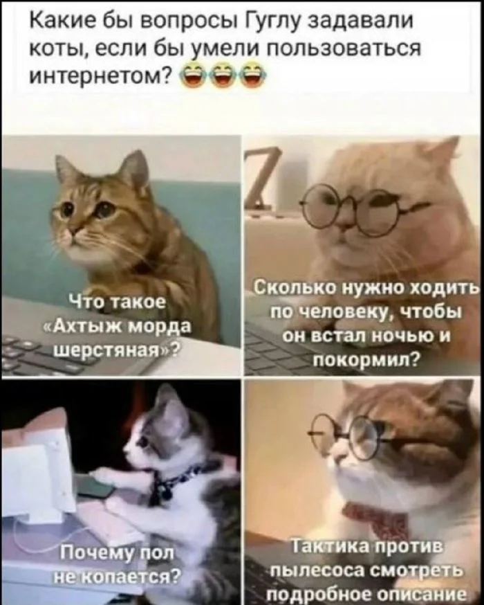 Ржачная подборка свежих мемов для отличных выходных смешные картинки, мемы 2026, юмор для настроения, приколы про жизнь