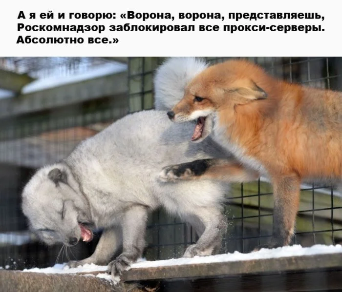 Ржачная подборка свежих мемов для отличных выходных смешные картинки, мемы 2026, юмор для настроения, приколы про жизнь