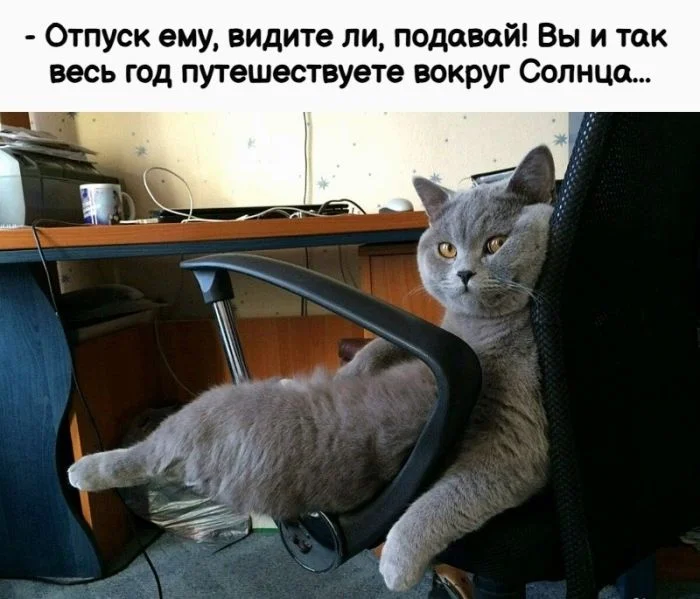 Ржачная подборка свежих мемов для отличных выходных смешные картинки, мемы 2026, юмор для настроения, приколы про жизнь