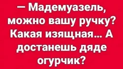 Свежая порция циничного юмора: от политики до бытовухи анекдоты, мемы, приколы, политика, юмор, жизненные шутки