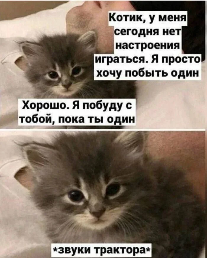Смешные картинки на субботу: про мам, кибербезопасность и наказание мемы, приколы, картинки, юмор, мамы, кибербезопасность, суббота