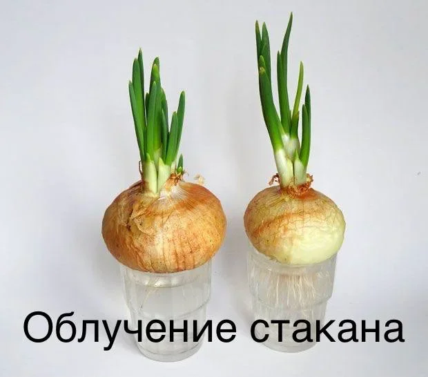 Смешные картинки на субботу: про мам, кибербезопасность и наказание мемы, приколы, картинки, юмор, мамы, кибербезопасность, суббота