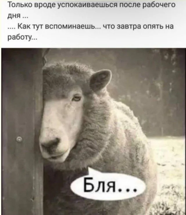 Какой мем будет следующим? Ты не угадаешь! мемы, приколы, подборка, угадай, реакция, смешное