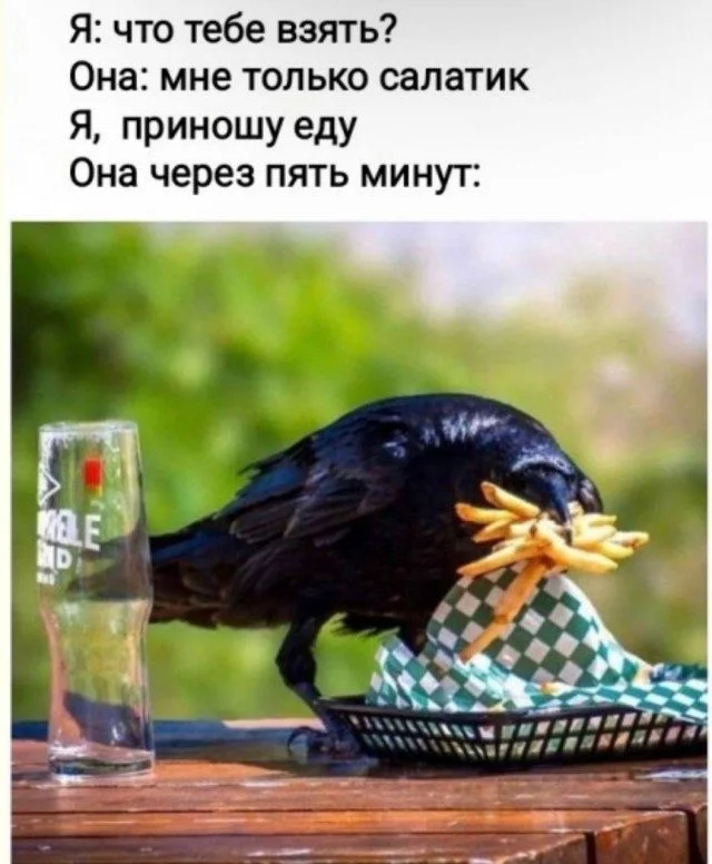 Какой мем будет следующим? Ты не угадаешь! мемы, приколы, подборка, угадай, реакция, смешное