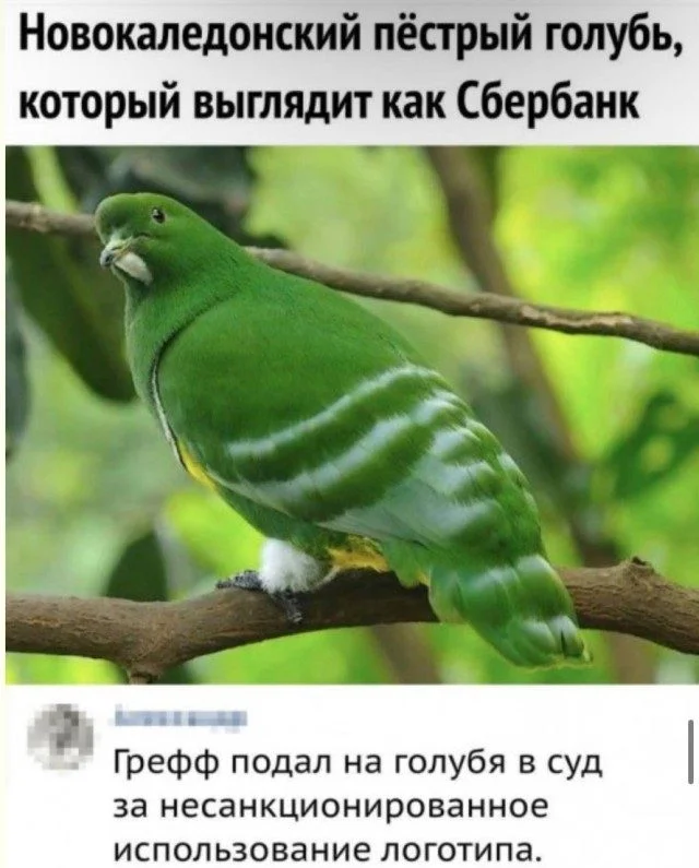 Какой мем будет следующим? Ты не угадаешь! мемы, приколы, подборка, угадай, реакция, смешное