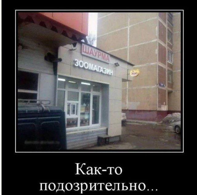 Кисло-сладкий микс: усталость, нежность и жизненные приколы приколы, юмор, картинки, усталость, нежность, жизнь, смешное, подборка, мемы