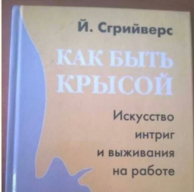 Кисло-сладкий микс: усталость, нежность и жизненные приколы приколы, юмор, картинки, усталость, нежность, жизнь, смешное, подборка, мемы
