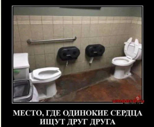 Кисло-сладкий микс: усталость, нежность и жизненные приколы приколы, юмор, картинки, усталость, нежность, жизнь, смешное, подборка, мемы