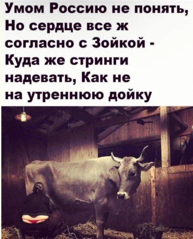 Кисло-сладкий микс: усталость, нежность и жизненные приколы приколы, юмор, картинки, усталость, нежность, жизнь, смешное, подборка, мемы