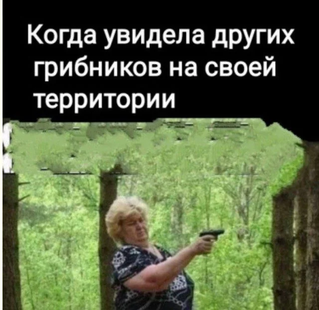 Кисло-сладкий микс: усталость, нежность и жизненные приколы приколы, юмор, картинки, усталость, нежность, жизнь, смешное, подборка, мемы