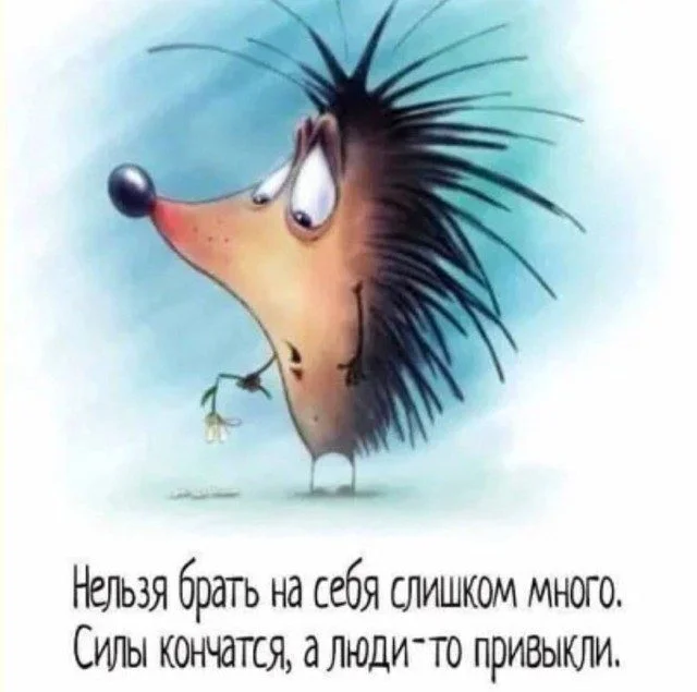 Хаос в голове и душа в мемах мемы, приколы, хаос, подборка, картинки, юмор, веселье, без логики