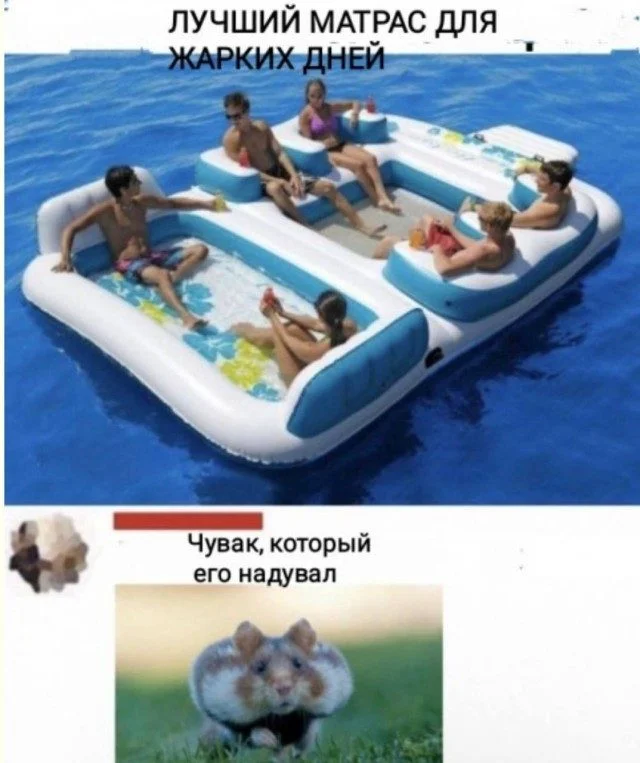 Хаос в голове и душа в мемах мемы, приколы, хаос, подборка, картинки, юмор, веселье, без логики