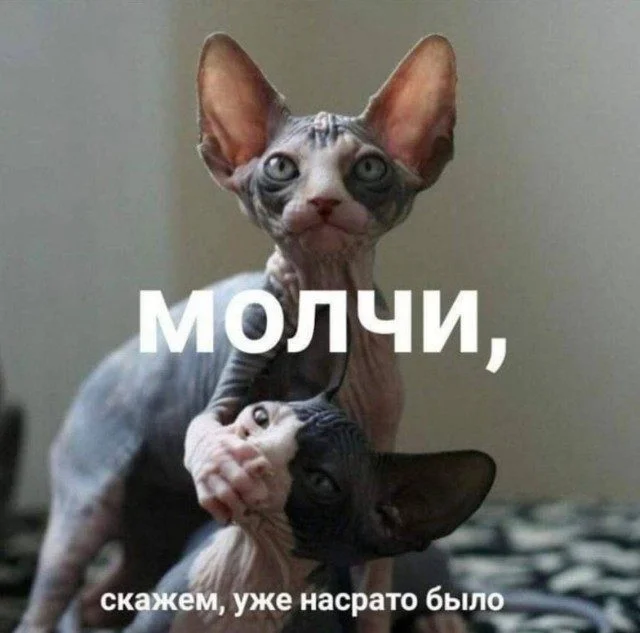 Хаос в голове и душа в мемах мемы, приколы, хаос, подборка, картинки, юмор, веселье, без логики