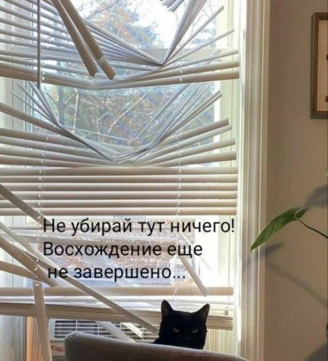 Хаос в голове и душа в мемах мемы, приколы, хаос, подборка, картинки, юмор, веселье, без логики