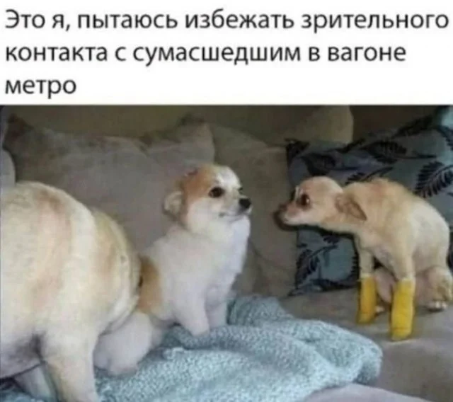 Выходные — время для смеха: свежая порция мемов мемы, приколы, юмор, картинки, выходные, смешнявки, подборка, позитив