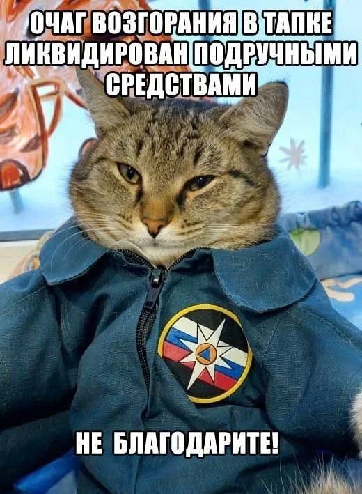 Выходные — время для смеха: свежая порция мемов мемы, приколы, юмор, картинки, выходные, смешнявки, подборка, позитив