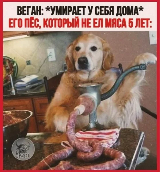 Выходные — время для смеха: свежая порция мемов мемы, приколы, юмор, картинки, выходные, смешнявки, подборка, позитив