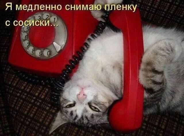 Выходные — время для смеха: свежая порция мемов мемы, приколы, юмор, картинки, выходные, смешнявки, подборка, позитив