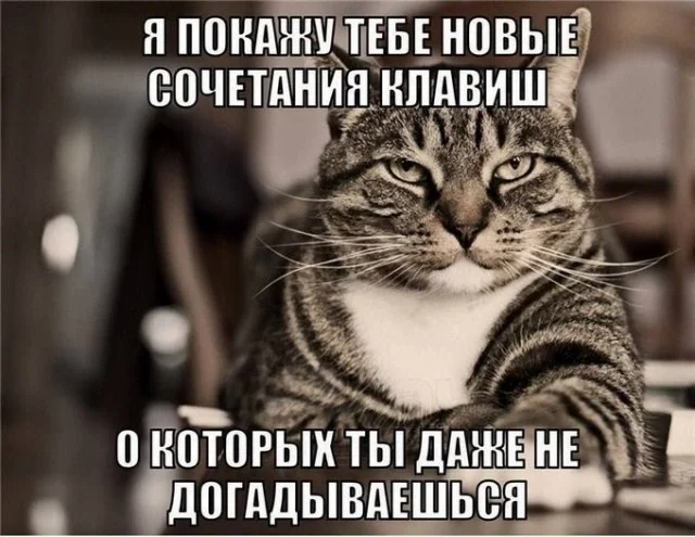 Выходные — время для смеха: свежая порция мемов мемы, приколы, юмор, картинки, выходные, смешнявки, подборка, позитив