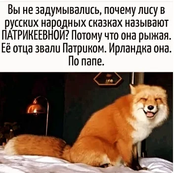 Народный юмор: свежие анекдоты про жизнь, политику и деньги анекдоты, юмор, политика, шутки, Россия, чиновники, народный юмор, приколы, ВПН, цифровой рубль