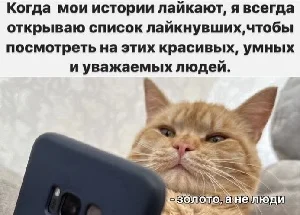 Народный юмор: свежие анекдоты про жизнь, политику и деньги Народный юмор: свежие анекдоты про жизнь, политику и деньги анекдоты, юмор, политика, шутки, Россия, чиновники, народный юмор, приколы, ВПН, цифровой рубль