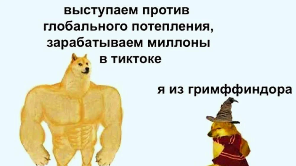 Самые забористые мемы про зумеров: смеёмся над стереотипами