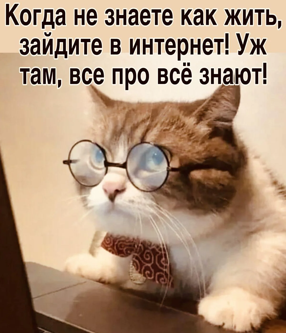 С днюхой, Сеть! Убойная подборка мемов про Интернет интернет, мемы, приколы, картинки, юмор, подборка, день рождения, www