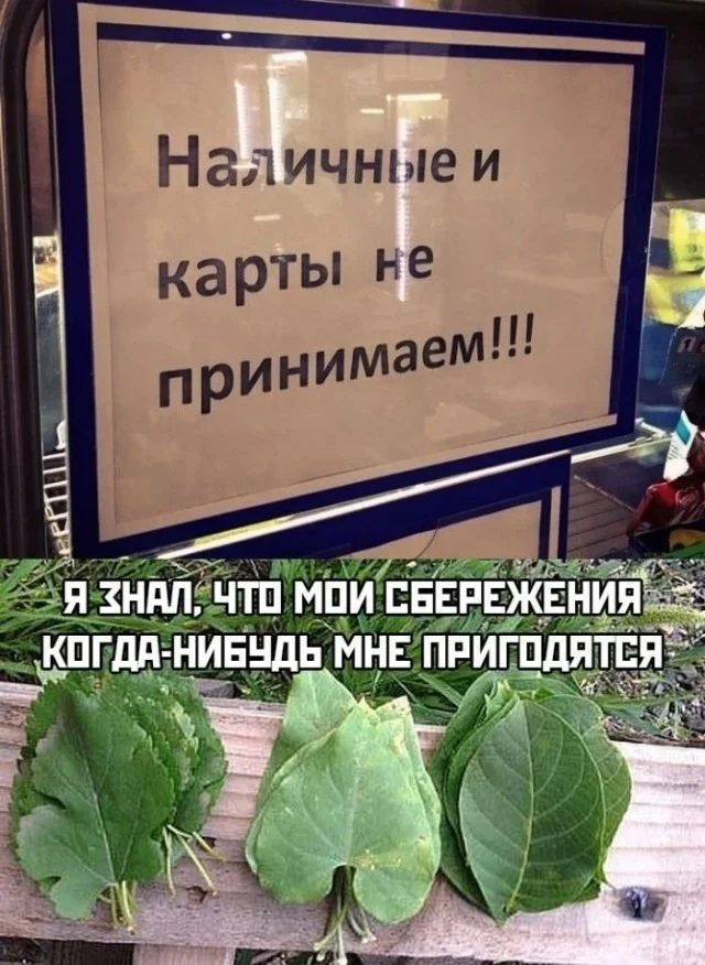 Ура, понедельник! Свежие мемы и картинки для заряда бодрости мемы, понедельник, приколы, картинки, юмор, работа, настроение