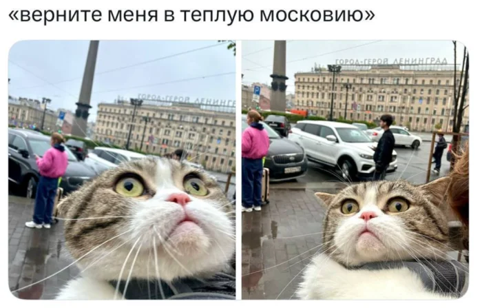 Ура, понедельник! Свежие мемы и картинки для заряда бодрости мемы, понедельник, приколы, картинки, юмор, работа, настроение