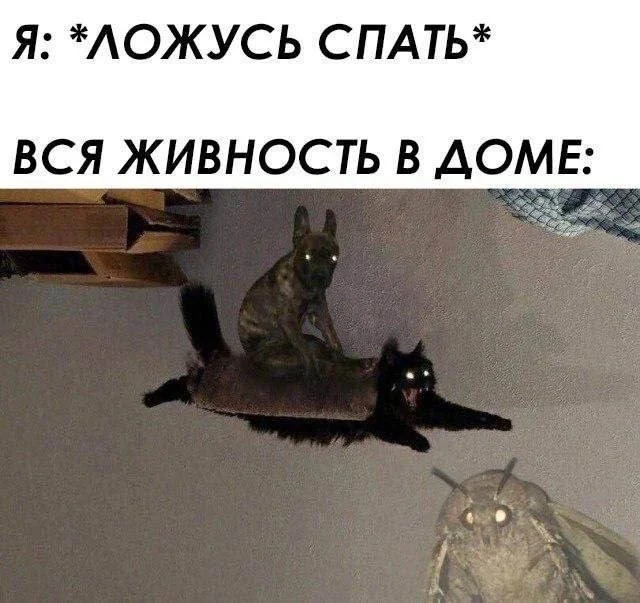Ура, понедельник! Свежие мемы и картинки для заряда бодрости мемы, понедельник, приколы, картинки, юмор, работа, настроение
