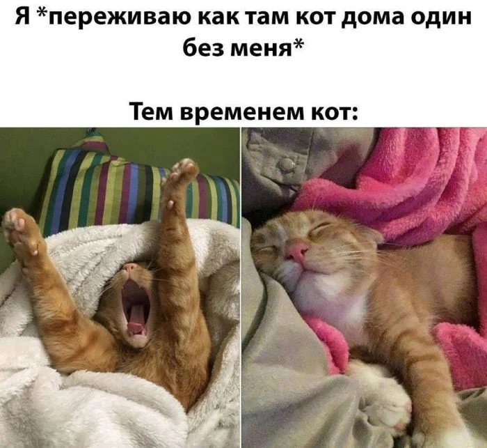 Ура, понедельник! Свежие мемы и картинки для заряда бодрости мемы, понедельник, приколы, картинки, юмор, работа, настроение