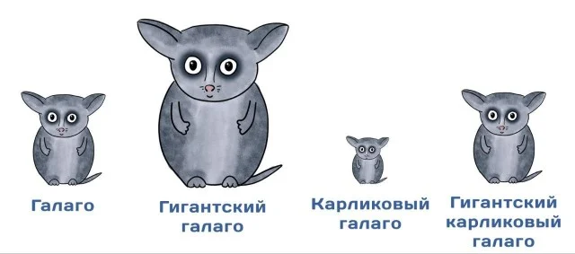 Ура, понедельник! Свежие мемы и картинки для заряда бодрости мемы, понедельник, приколы, картинки, юмор, работа, настроение
