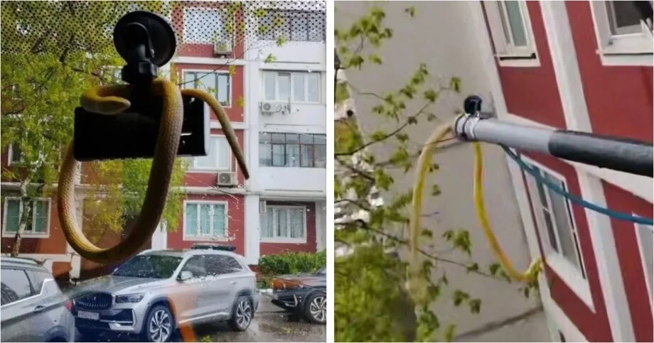 Спасатели в Москве героически 