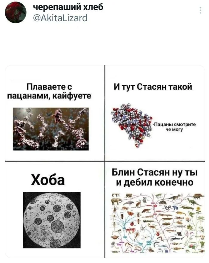Улыбка до ушей: мега-подборка самого сочного юмора юмор, приколы, мемы, шутки, смех, позитив, картинки, подборка, настроение