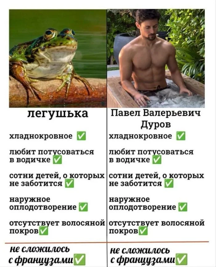 Улыбка до ушей: мега-подборка самого сочного юмора юмор, приколы, мемы, шутки, смех, позитив, картинки, подборка, настроение