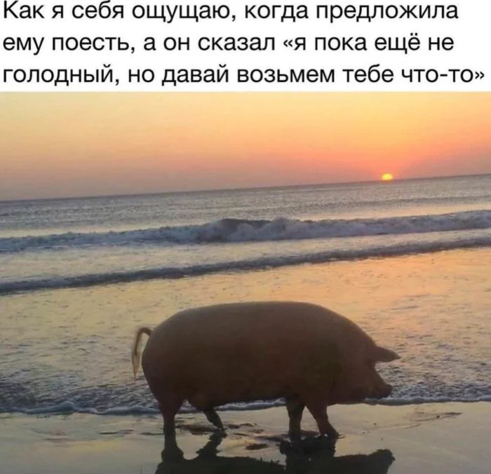 Улыбка до ушей: мега-подборка самого сочного юмора юмор, приколы, мемы, шутки, смех, позитив, картинки, подборка, настроение