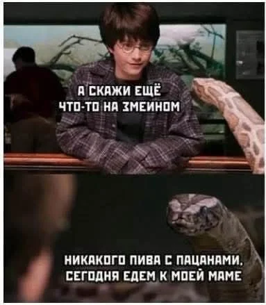 Смех без правил: гигантский сборник убойного юмора юмор, приколы, мемы, картинки, смешное, подборка, позитив, настроение, шутки