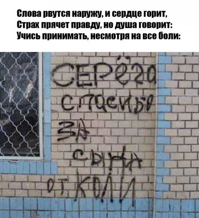 Смех без правил: гигантский сборник убойного юмора юмор, приколы, мемы, картинки, смешное, подборка, позитив, настроение, шутки